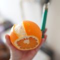 かすてら１２'s cooksnap of when they made 甘夏・はっさく・夏みかんの剥き方.