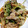 cotton777's cooksnap of when they made 簡単美味しい！豚肉と水菜のはりはり煮.