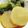 mぱなんが's cooksnap of when they made 大根と小松菜の煮物.