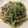 ベティ３'s cooksnap of when they made 水菜とひき肉のエスニック風炒め.