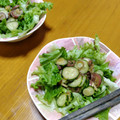 TamaZun's cooksnap of when they made きゅうりとみょうがのレタスサラダ.