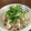 ぴろりん社長's cooksnap of when they made はまぐりの炊き込みご飯.