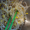 akilala's cooksnap of when they made レンジで簡単ほうれん草ともやしのおひたし.