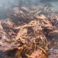 atlshawty's cooksnap of when they made プルドポーク(ダッチオーブン) BBQ.