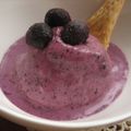 hibby's cooksnap of when they made ブルーベリーの☆ヨーグルトバニラアイス.