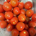 わたるんママ's cooksnap of when they made ミニトマトの保存方法.