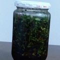 農家の娘りん's cooksnap of when they made 絶品！行者にんにく醤油漬け.