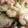 クック5ST63B☆'s cooksnap of when they made 簡単！ピザトースト.