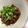 USACO66's cooksnap of when they made 八丁味噌ですじ煮混み♪.