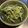 プリヲ's cooksnap of when they made こごみのおひたし.