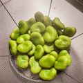 みまゆ's cooksnap of when they made そら豆の茹で方.