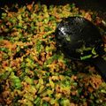 ダーメⅢ's cooksnap of when they made 大根葉が手に入ったら♡大根葉と豚そぼろ.