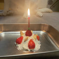 Dabiキッチン's cooksnap of when they made 犬用お誕生日ケーキ♡.