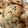 TeaMuffin's cooksnap of when they made 流行りの簡単絞り出しクッキー！.