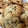 TeaMuffin's cooksnap of when they made 流行りの簡単絞り出しクッキー！.