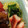 ♪チョコたんママ♪'s cooksnap of when they made ほうれん草のバター炒め☆.