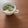 Etsu☆ko's cooksnap of when they made 卵のナンプラースープ.