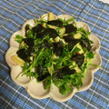クック49L4Ho☆'s cooksnap of when they made シャキシャキ豆苗の海苔ごまサラダ.