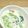 09mik's cooksnap of when they made 鮭とチンゲン菜のクリーム煮.