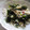 きらり流れ星's cooksnap of when they made 大根と海藻の梅しそサラダ.