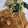 snow012's cooksnap of when they made 【作り置き】ほうれん草ともやしの海苔和え.
