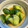 ☆maripei☆'s cooksnap of when they made きゅうりの柚子胡椒漬け.