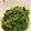 クックS5ITEC☆'s cooksnap of when they made ピーマンの塩昆布和え.