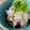 piyo_piyo's cooksnap of when they made とんぼ節のオニスラぽん酢.