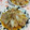 赤い電話's cooksnap of when they made 旬の新玉ねぎと豚肉のピリ辛生姜甘みそ炒め.