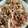 みまゆ's cooksnap of when they made 新たまねぎと豚こまの生姜焼き.