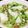みずかめの庭's cooksnap of when they made シロさんのかぶの海老椎茸あんかけ.