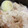 春菊大好き's cooksnap of when they made 新玉ねぎと桜えびとベーコンの炊き込みご飯.