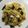 Ａ１５１＝監督's cooksnap of when they made ちぎり竹輪とホウレン草の鰹節風マヨパスタ.