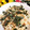 ゆるмαмα's cooksnap of when they made 懐かしきおかか焼き飯.