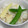 yummy?'s cooksnap of when they made おだしとしょうが香る♡たけのこご飯.