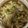 かおり♡♡♡'s cooksnap of when they made ✿鶏もも肉と野菜の味噌煮込み鍋✿.