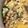 mantacarp's cooksnap of when they made 余りご飯で！チキンドリア.