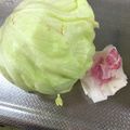 mantacarp's cooksnap of when they made シナシナレタス復活！そして長持ち！.