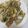 クックLHGWVO☆'s cooksnap of when they made たけのこの唐揚げのり塩味.