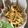 ちゃかぴまま's cooksnap of when they made ぱくぱく食べちゃう！食パンのみみラスク♪.