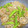 ちょ〜☆'s cooksnap of when they made しゃっきしゃき☆れんこん＆きぬさや炒め♪.