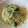 Hirarinn☆'s cooksnap of when they made しらすとブロッコリーのパスタ.