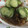 さおりん@料理特訓中's cooksnap of when they made もずくと胡瓜の酢の物.