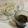 papikun's cooksnap of when they made 素麺のつけつゆ２：２：１：５比率で♪.
