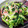 ももんじゃー's cooksnap of when they made ☆簡単☆ほうれん草とカニカマ炒め.