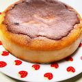 ☆ちーこっこ☆'s cooksnap of when they made 簡単 チーズケーキ ダイエット.