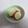 みめい's cooksnap of when they made 菊芋の甘酢漬け.