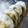 おらんでう～たん's cooksnap of when they made 【うちのかしわもち】.