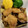 ポメちょん's cooksnap of when they made 冷ましてうまい！ささみの甘辛ゴマぽん焼き.
