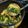 kabocha☆ひろ's cooksnap of when they made 小松菜とえのきの和風卵スープ.